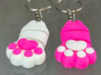 Kitty Paw keychain