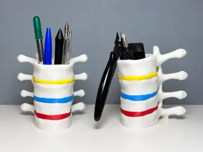 Cervical Vertebra Pen & Tool Holder
