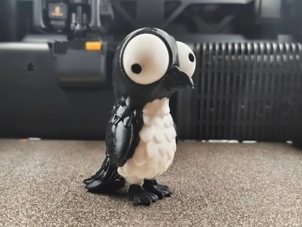 Googly-Eyed penguin