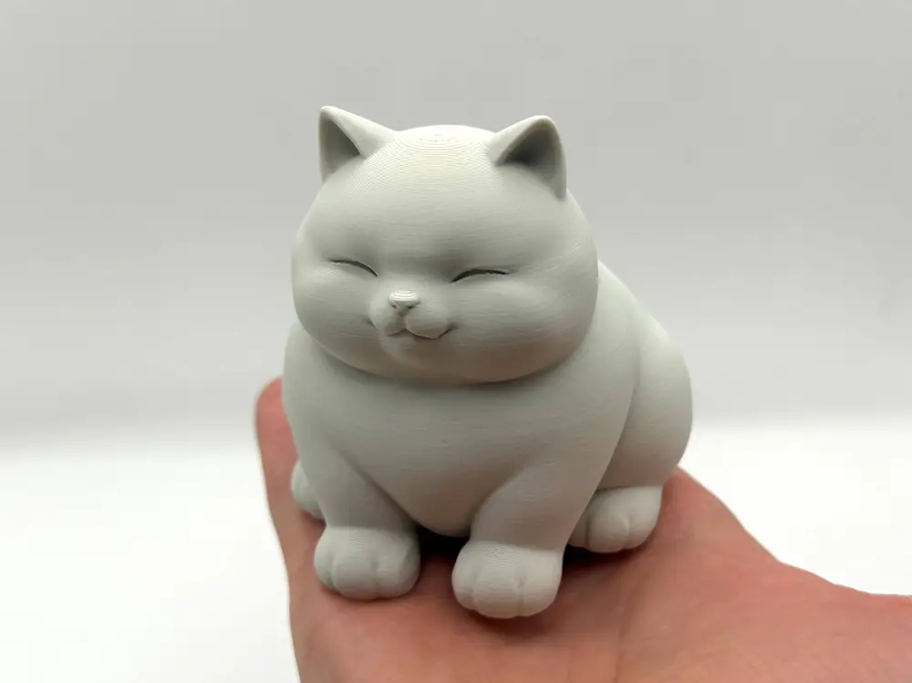 Classic Chonk Kitten