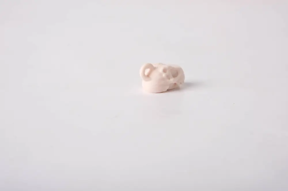 Dinosaur Skull Keychain - Fun and Unique Accessory
