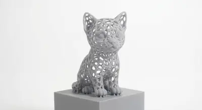 Voronoi Rooted Cat