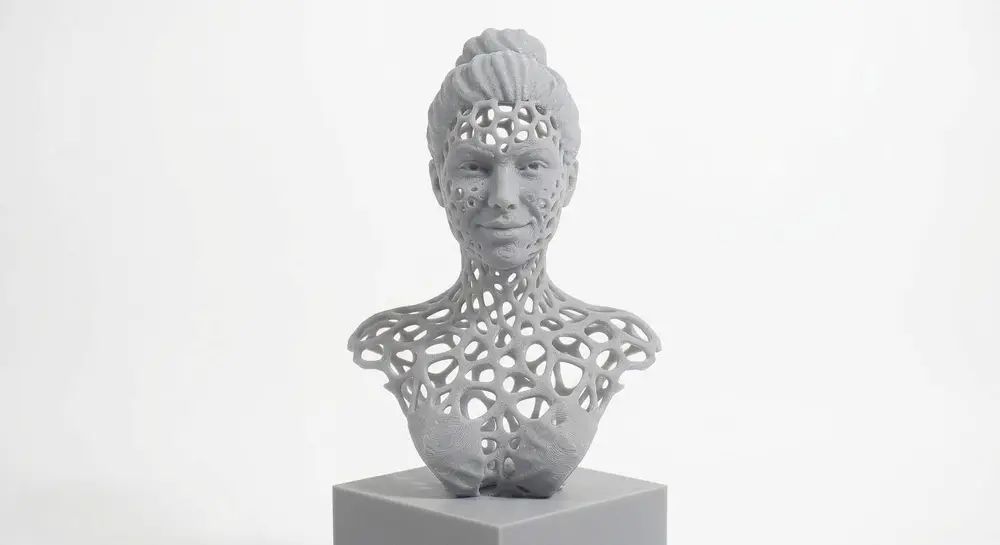 Voronoi Void Bust