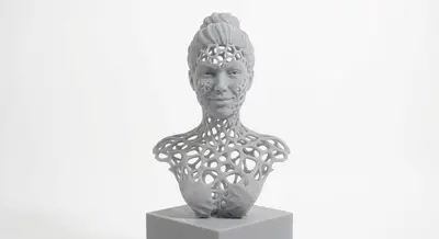 Voronoi Void Bust
