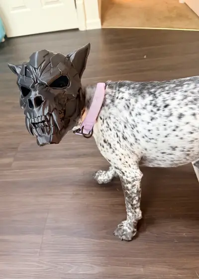 Werewolf DOG Mask