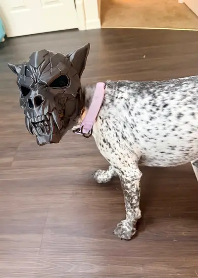 Werewolf DOG Mask