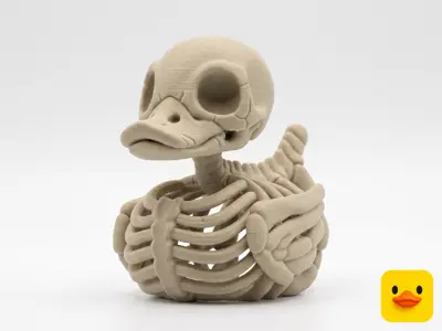 Hollow Skeleton Duck