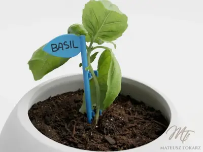 Plant Support Stake | Label & Clips