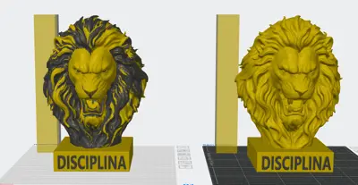 leao disciplina