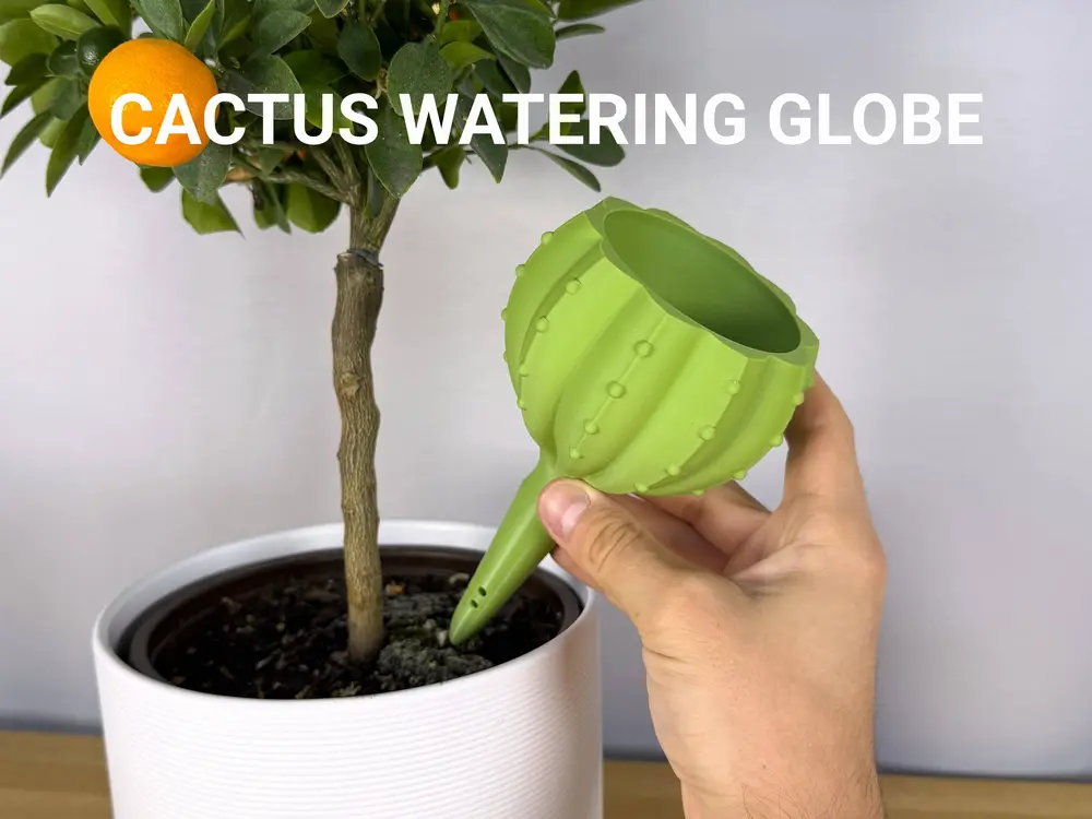 Cactus Plant Watering Globe
