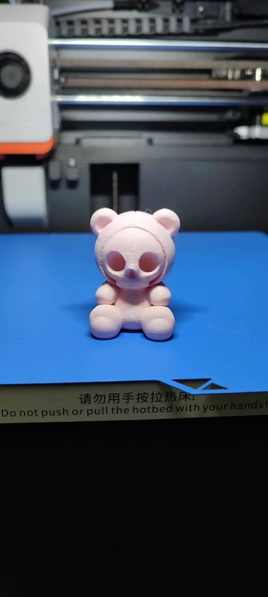 Teddy Skull