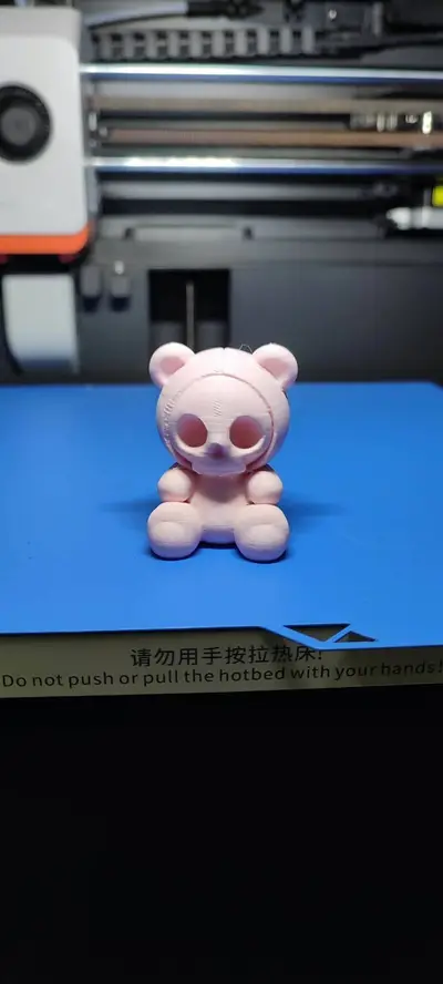 Teddy Skull