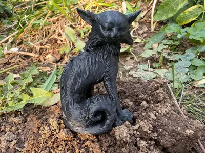 Halloween black cat