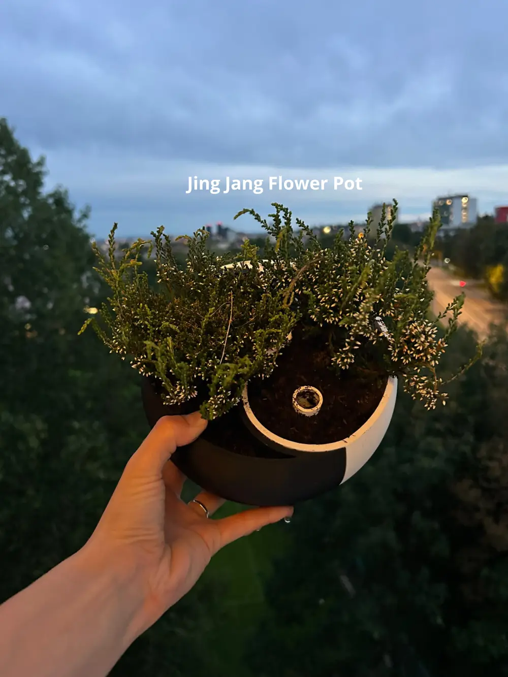 Yin and Yang Planter Pot