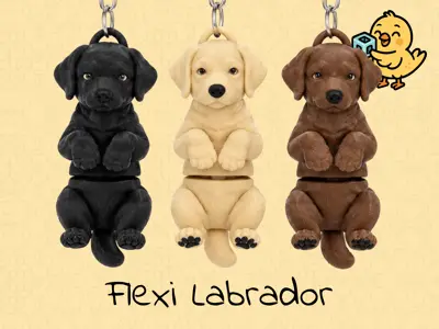 Cute Labrador Retriever Keychain – Articulated Flexi Toy Dog