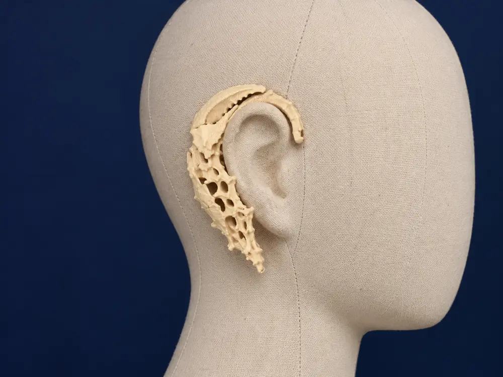 Crab ear cuff
