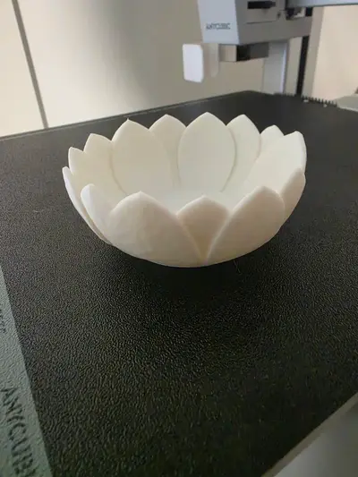 Zenith Lotus Bowl 🌸✨