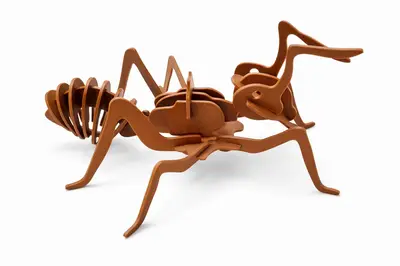 3D Ant Puzzle