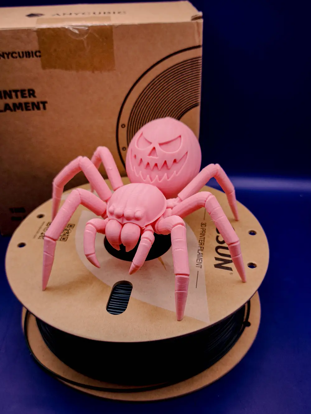 Halloween Spider