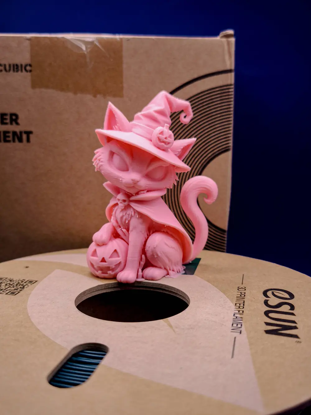 Halloween Cat