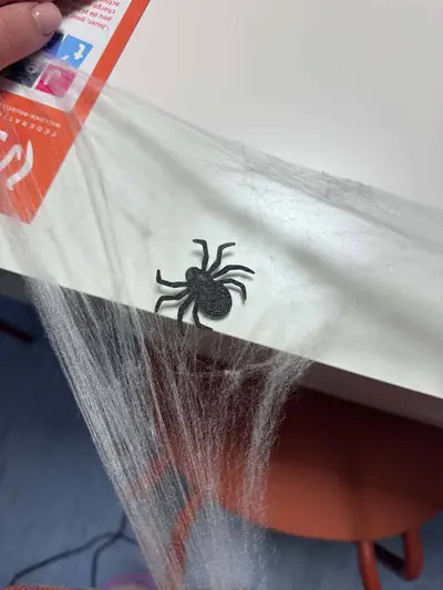 Thin Spider – Halloween Decoration