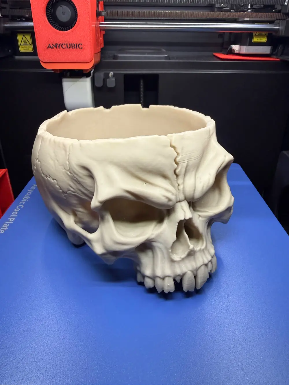 Skully Stash – Halloween Skull Bowl