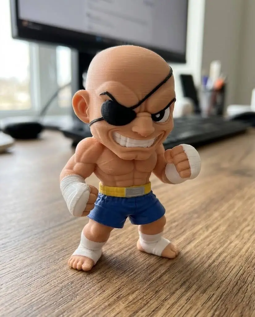 sagat