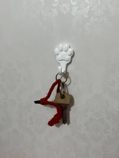 cat paw wall hook