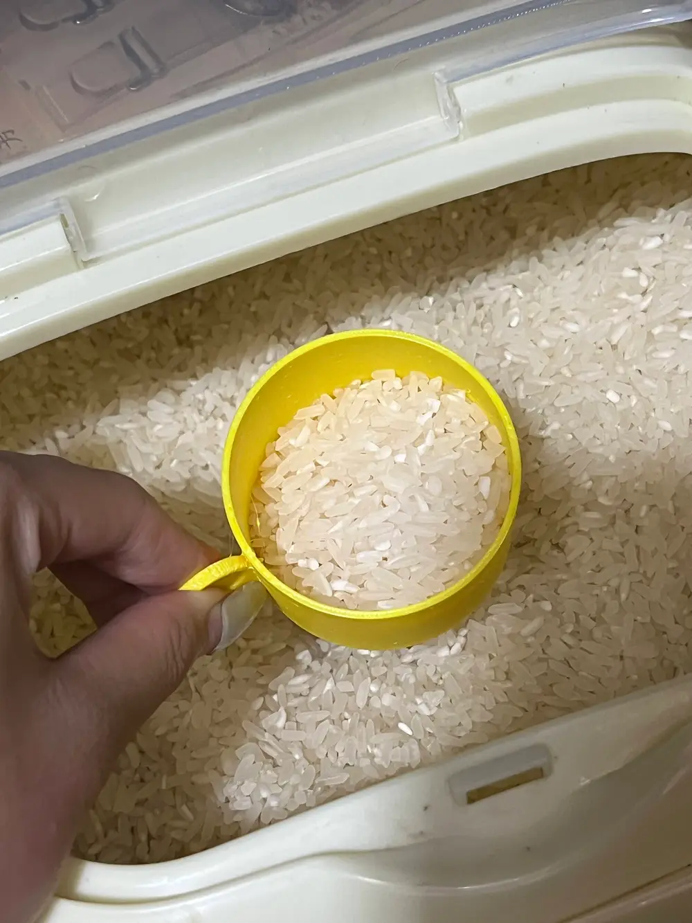 measuring cup