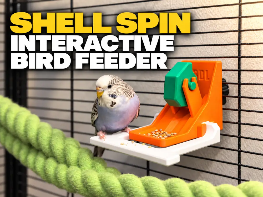 Bird Feeder - Shell Spin