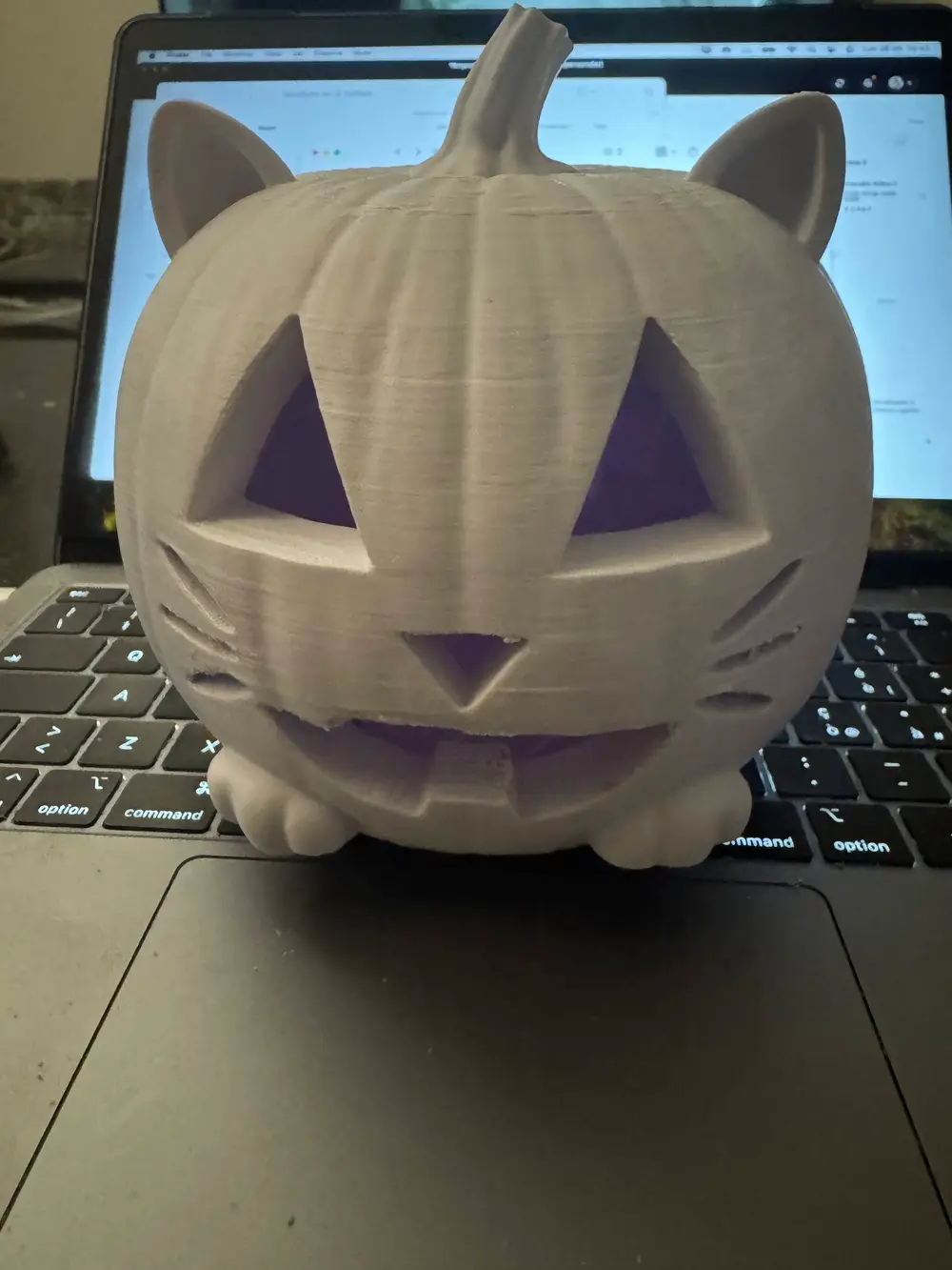 cat pumpkin