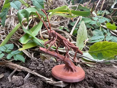Realistick Stick insect on a stick