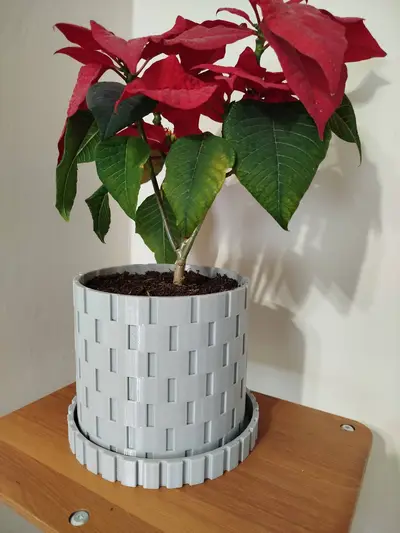 vase