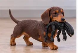 Dachshund Puppy with Alien Creature